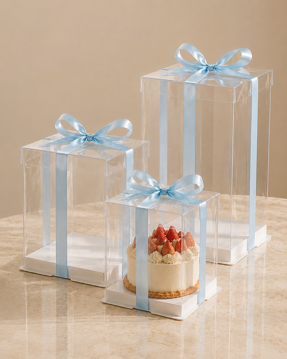 Tall Clear Cake Box